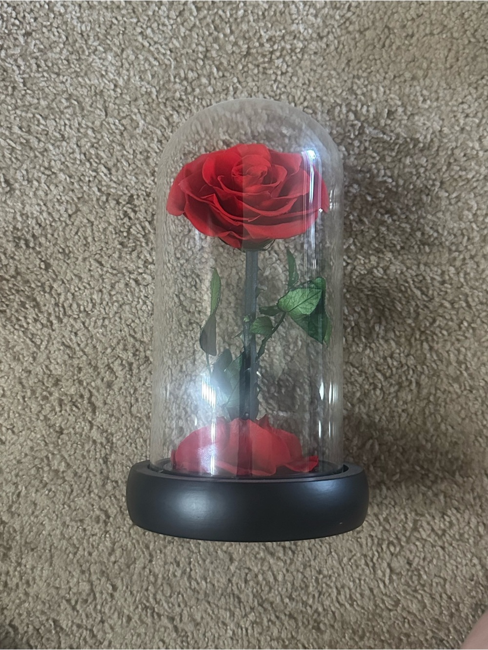NEW Red Rose Dome Decorative Accent